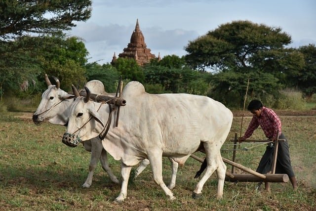 Agriculteur