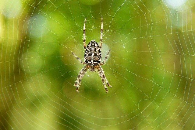 Biologiste en environnement